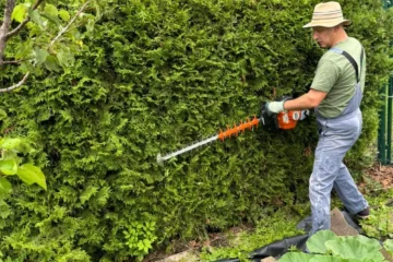 Rasen und Gartenpflege