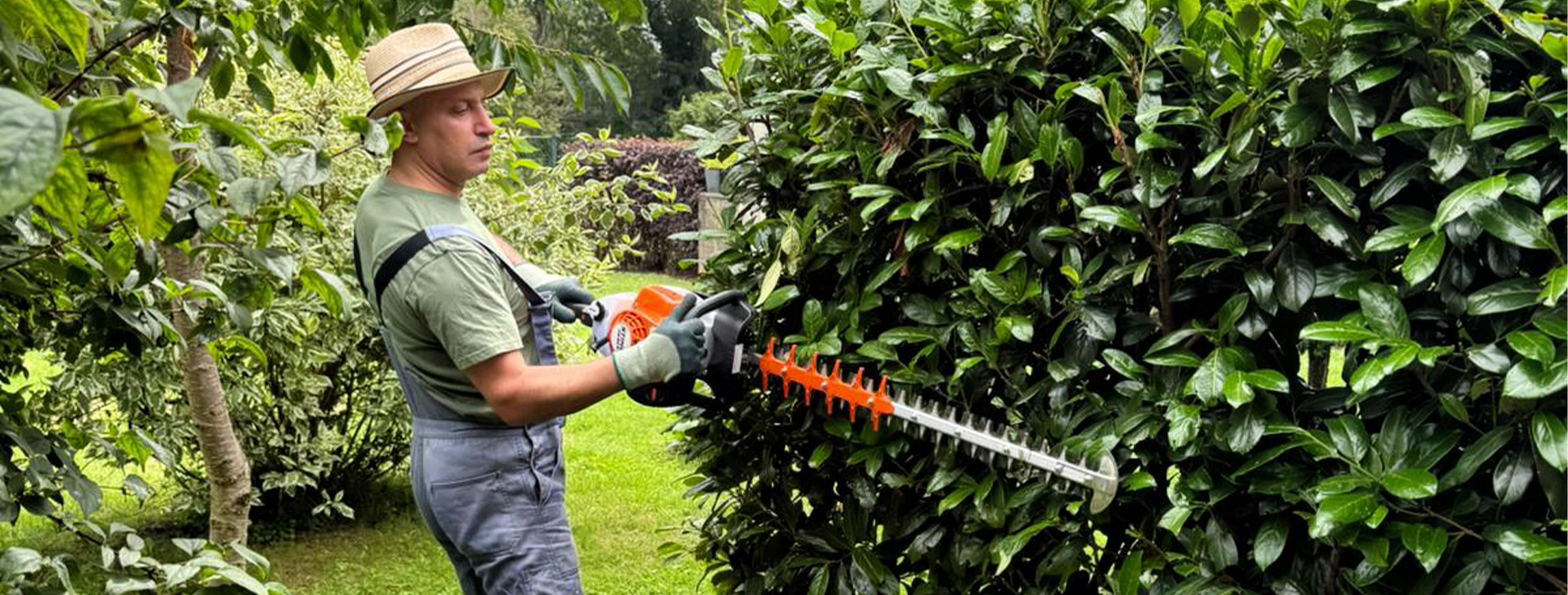 Rasenmähen und Baumpflege