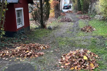 Frühjahrs und Herbstreinigung